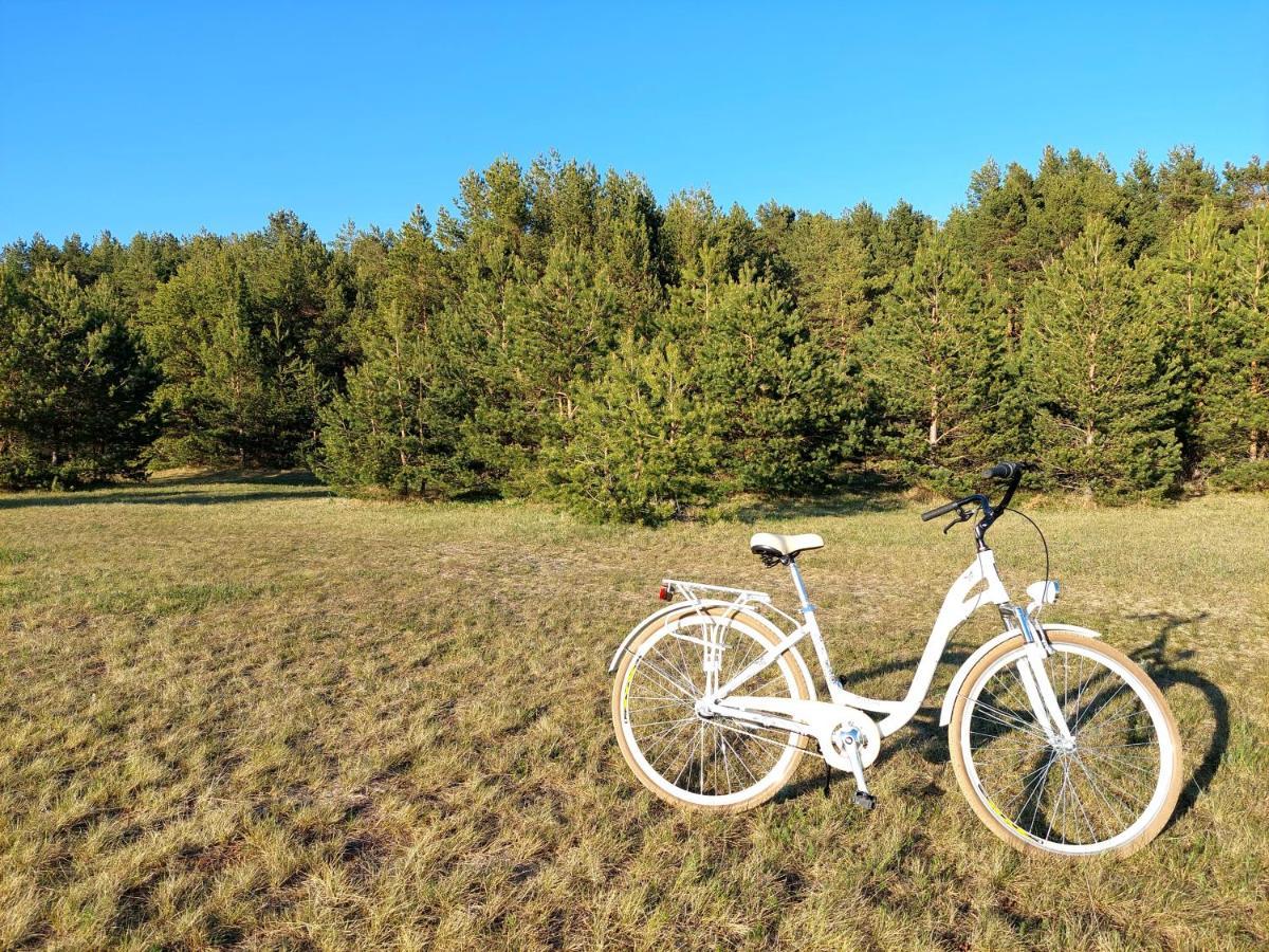 Villa Juras Dzintars Ainaži Esterno foto