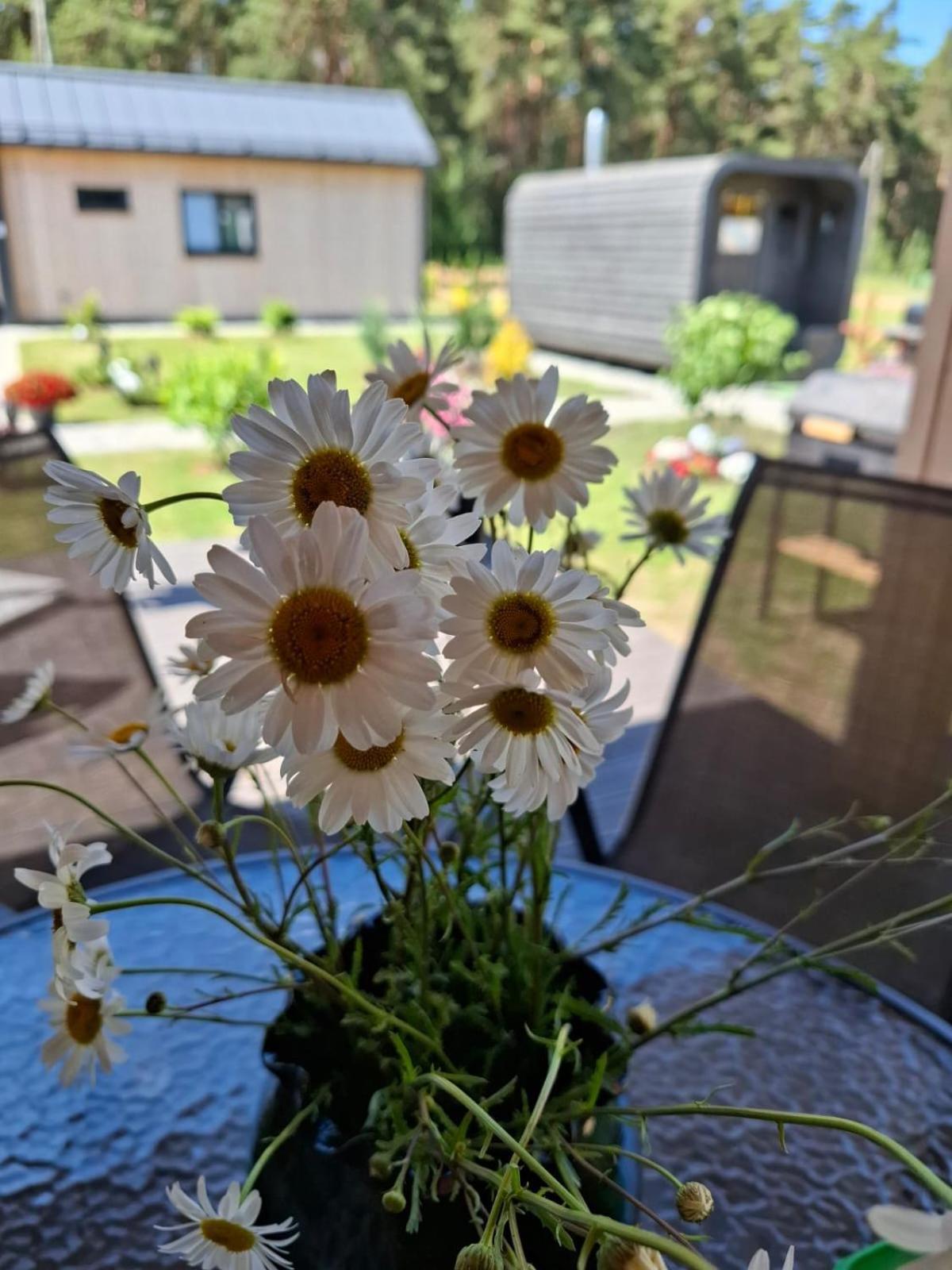 Villa Juras Dzintars Ainaži Esterno foto